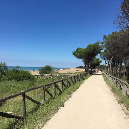 Tiziana Bibione